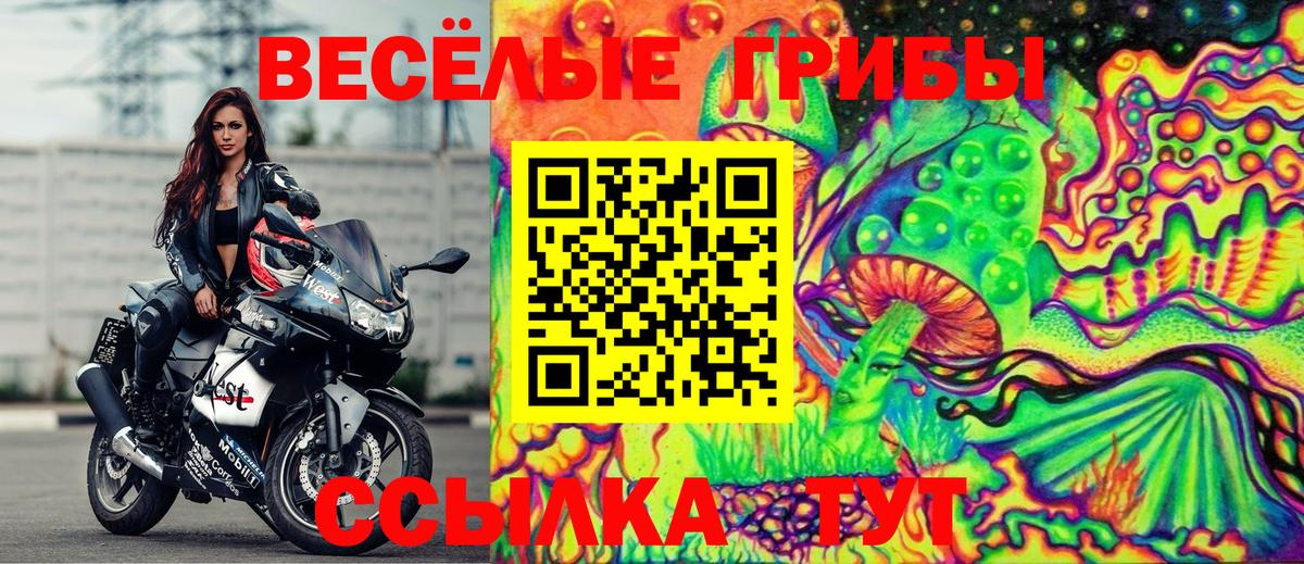 Псилоцибиновые грибы мицелий Улан-Удэ
